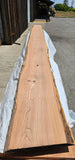 Old Growth Redwood #143505