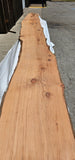 Old Growth Redwood #143508