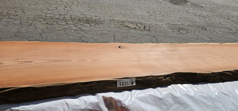 Old Growth Redwood # 143509