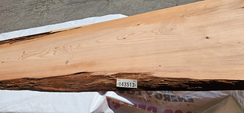Old Growth Redwood #143513