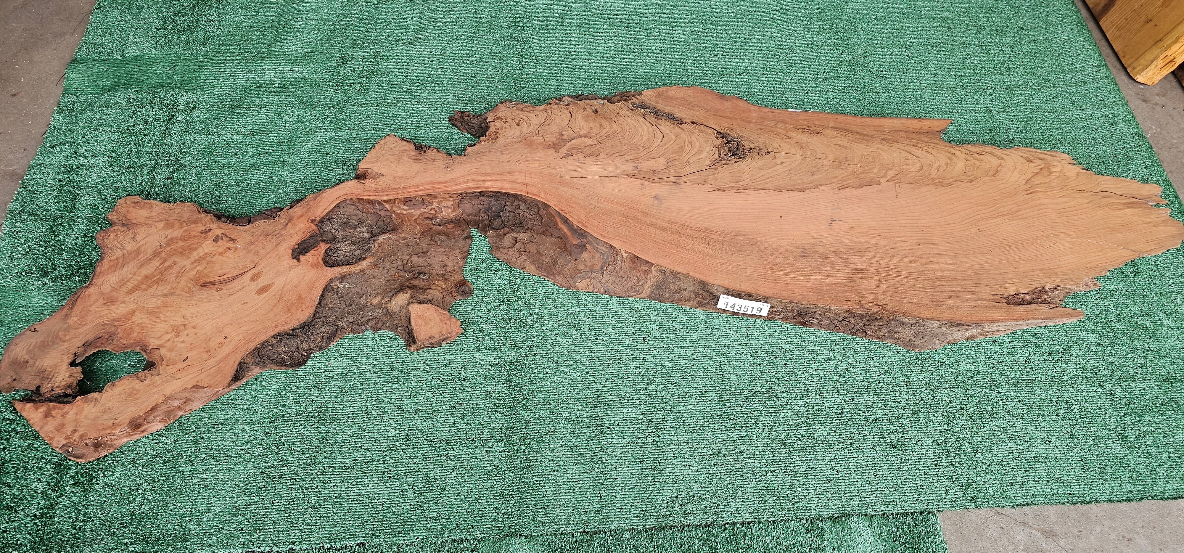 Redwood Burl #143519