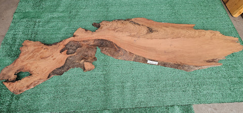 Redwood Burl #143519