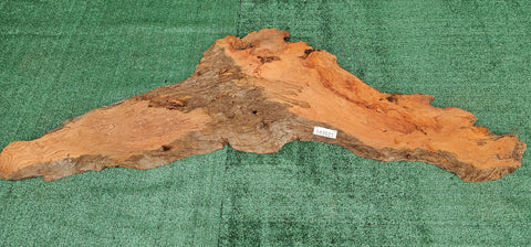 Redwood Bul #143521