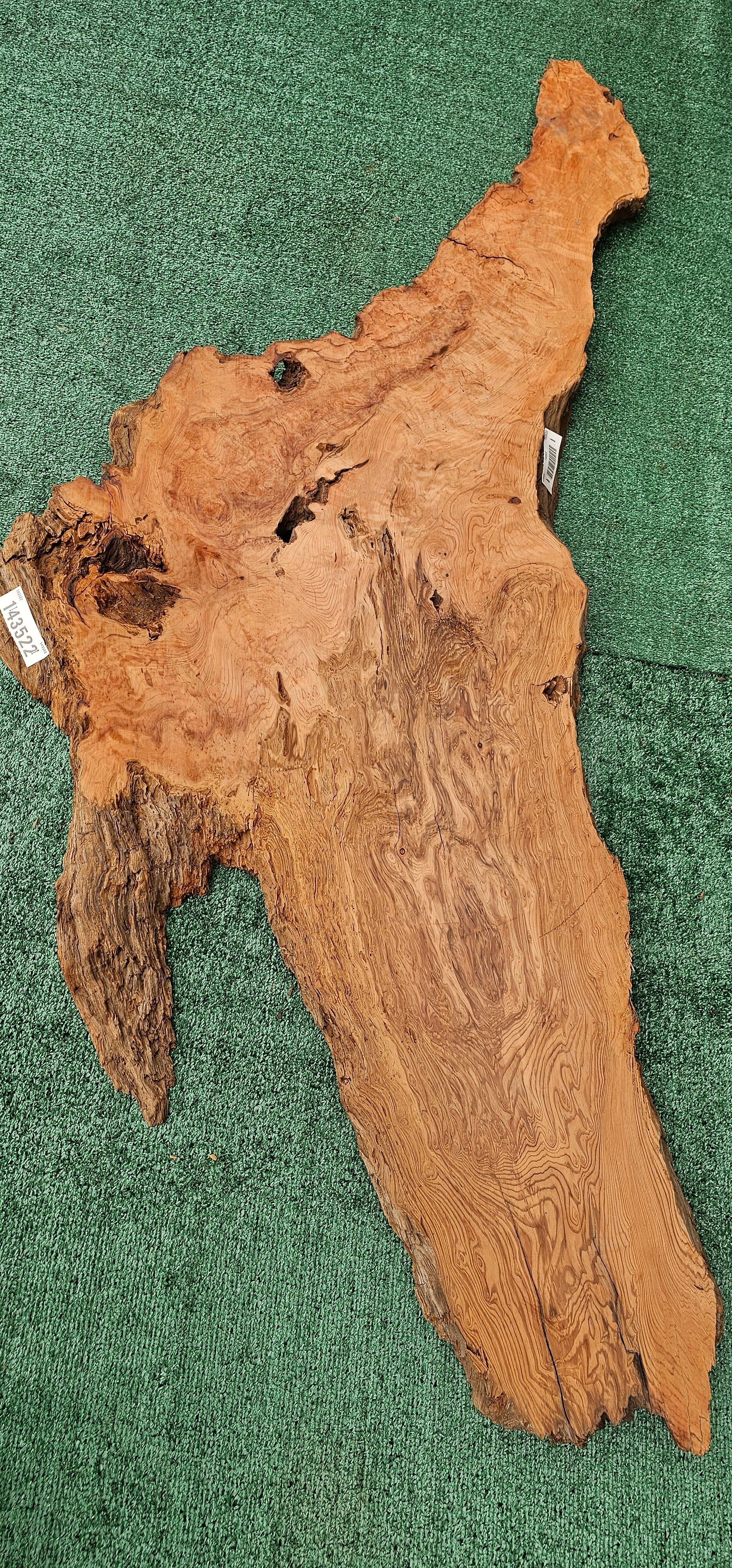 Redwood Bul #143521