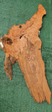 Redwood Bul #143521
