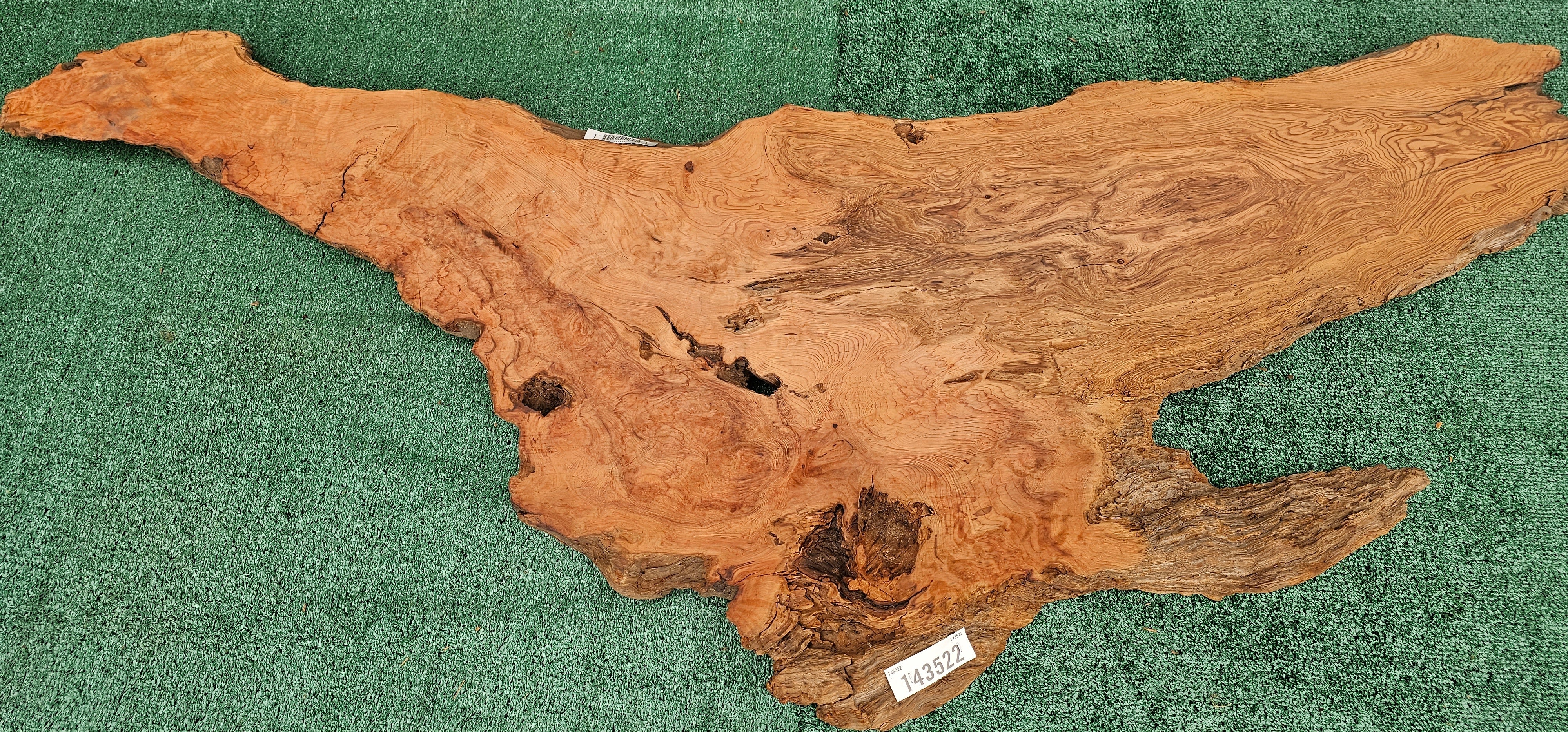 Redwood Burl #143522