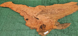 Redwood Burl #143522