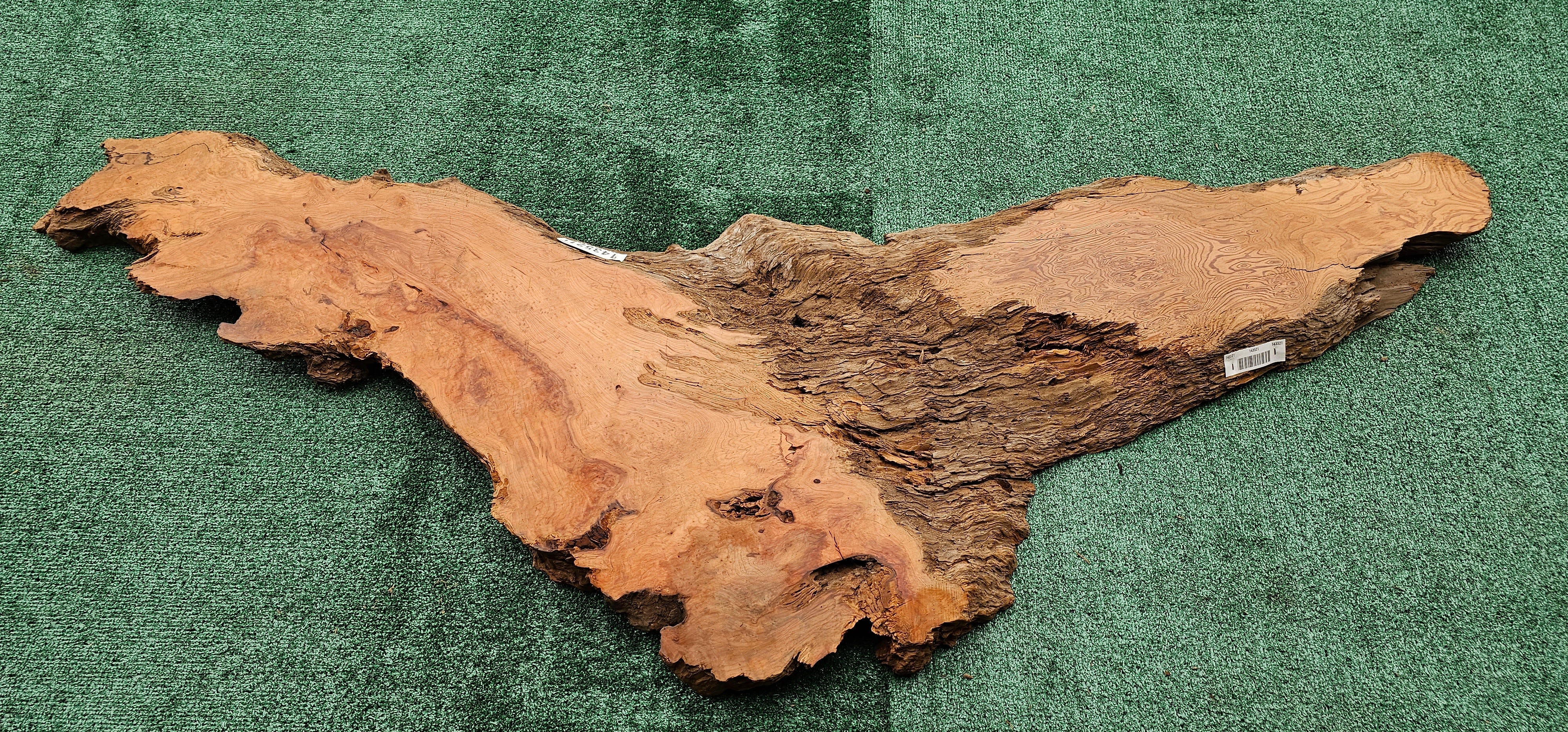 Redwood Burl #143522