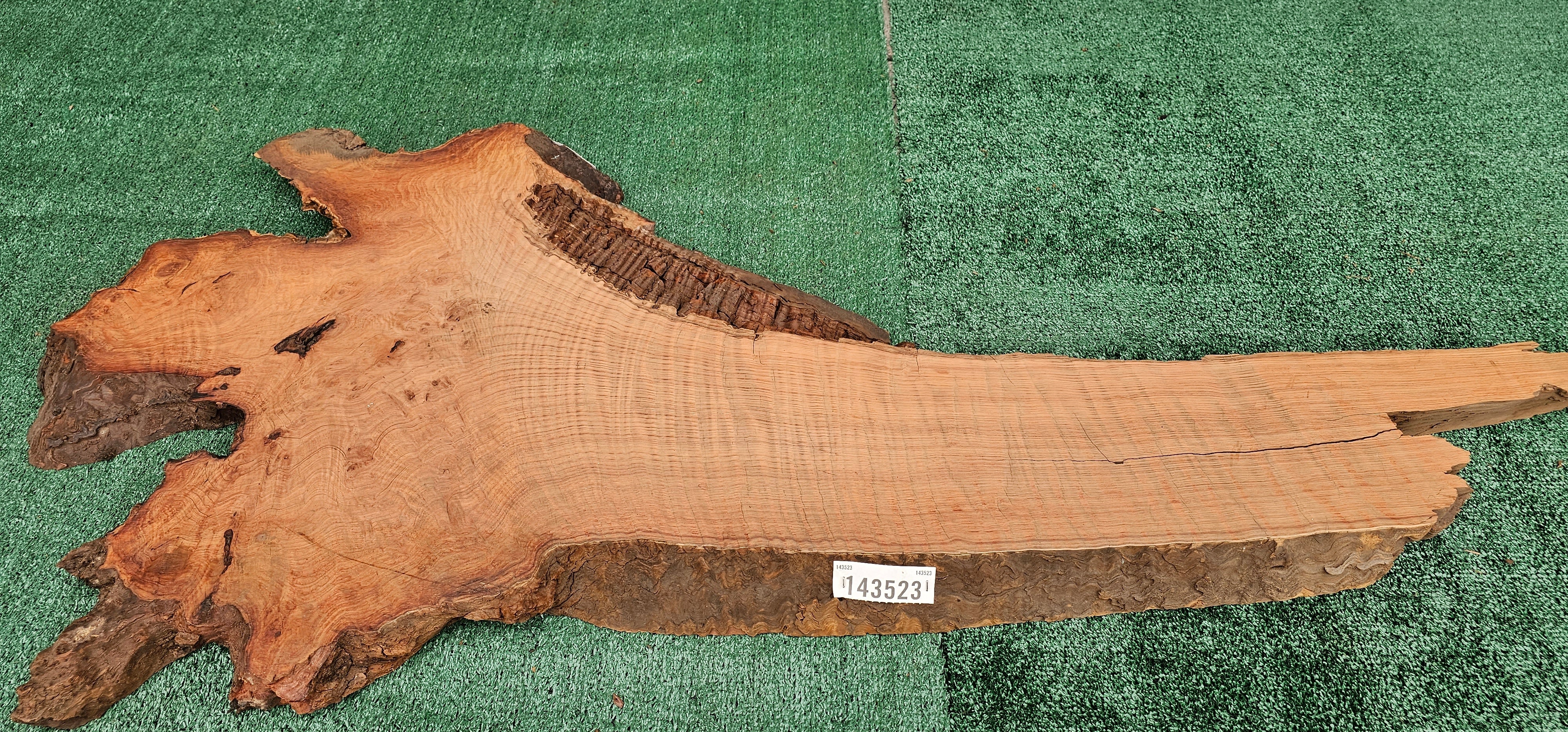 Redwood Burl #143523