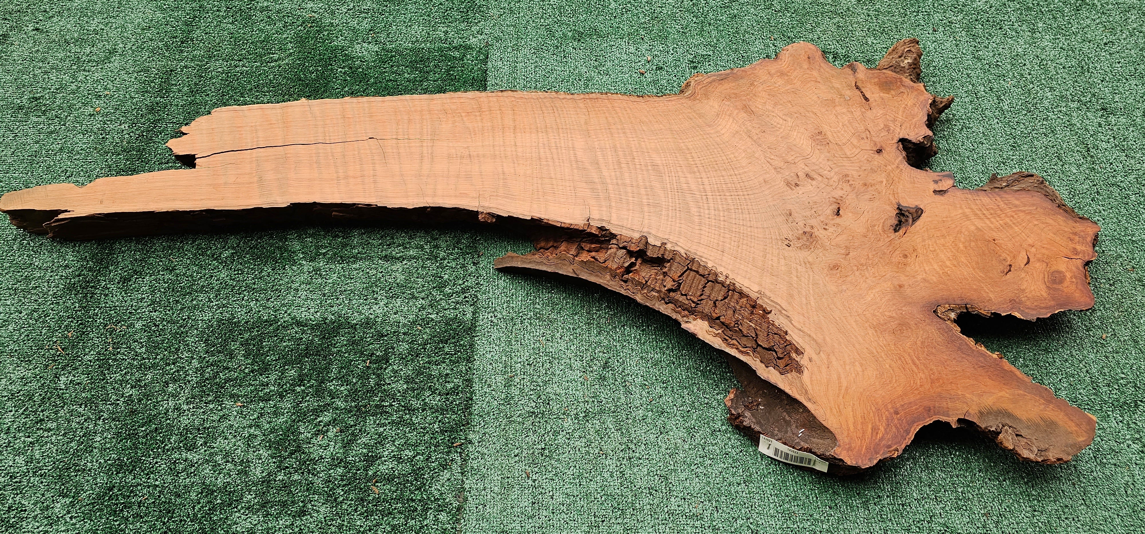 Redwood Burl #143523