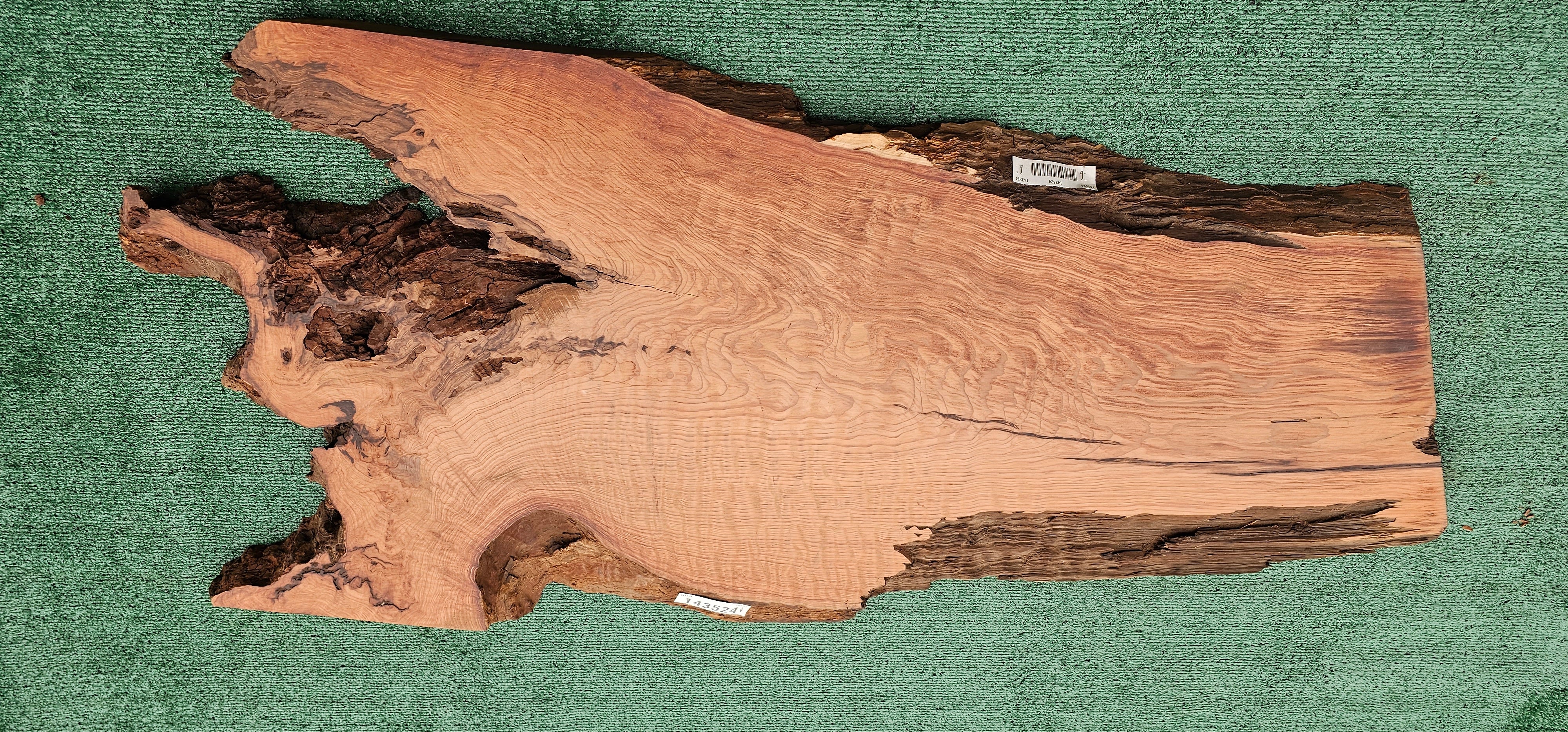 Redwood Burl #143524
