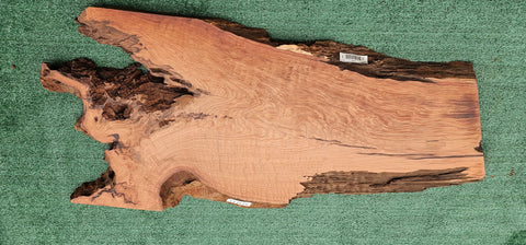 Redwood Burl #143524