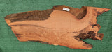 Redwood Burl #143524