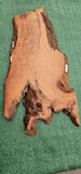 Redwood Burl #143524