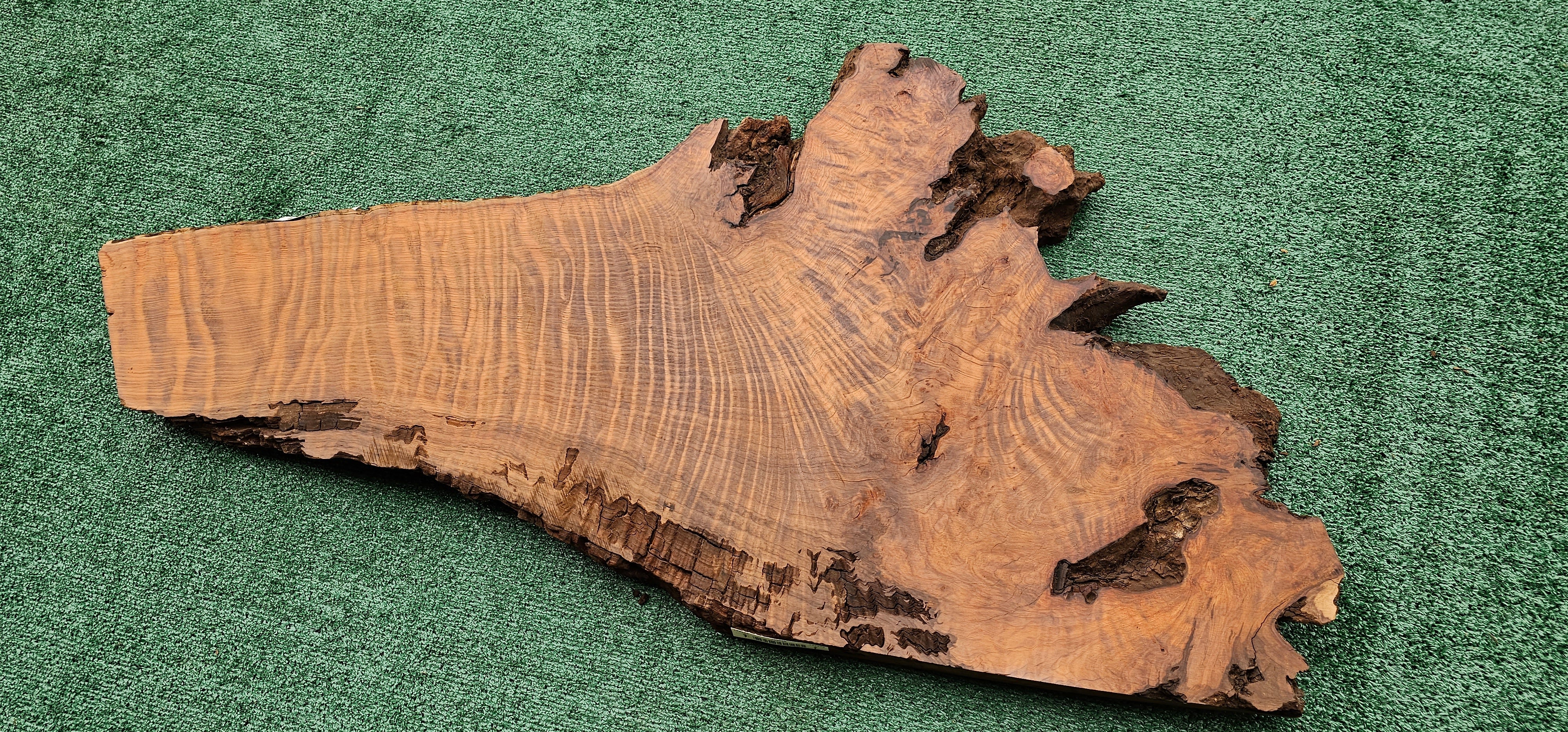Redwood Burl #143525