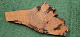 Redwood Burl #143525