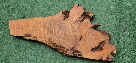 Redwood Burl #143525