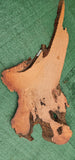 Redwood Burl #143526