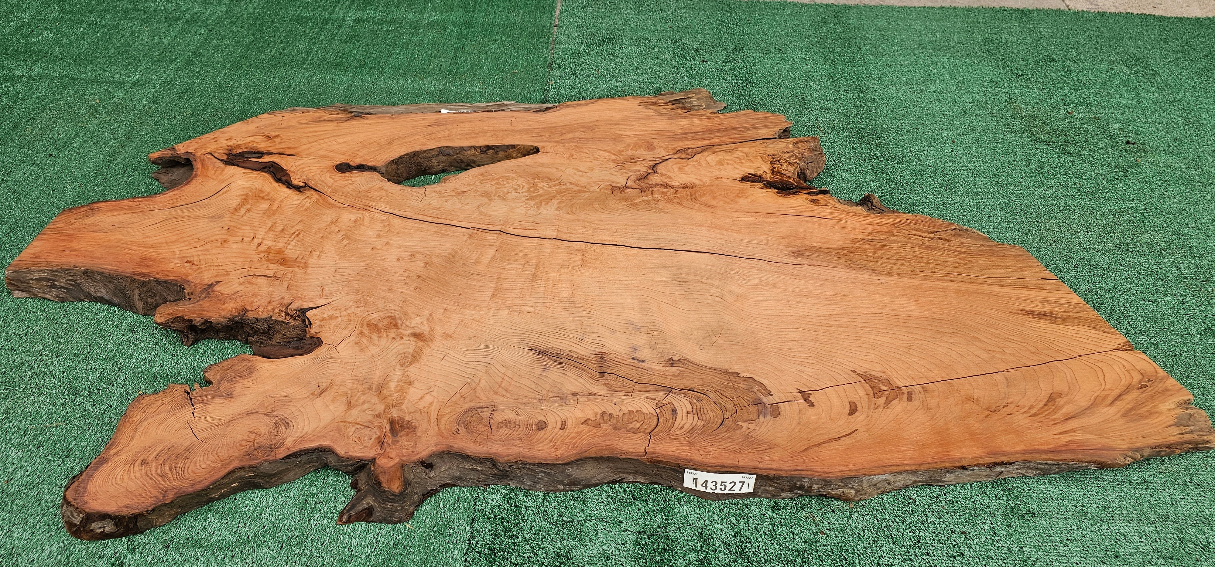 Redwood Burl #143527
