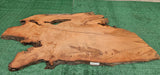 Redwood Burl #143527