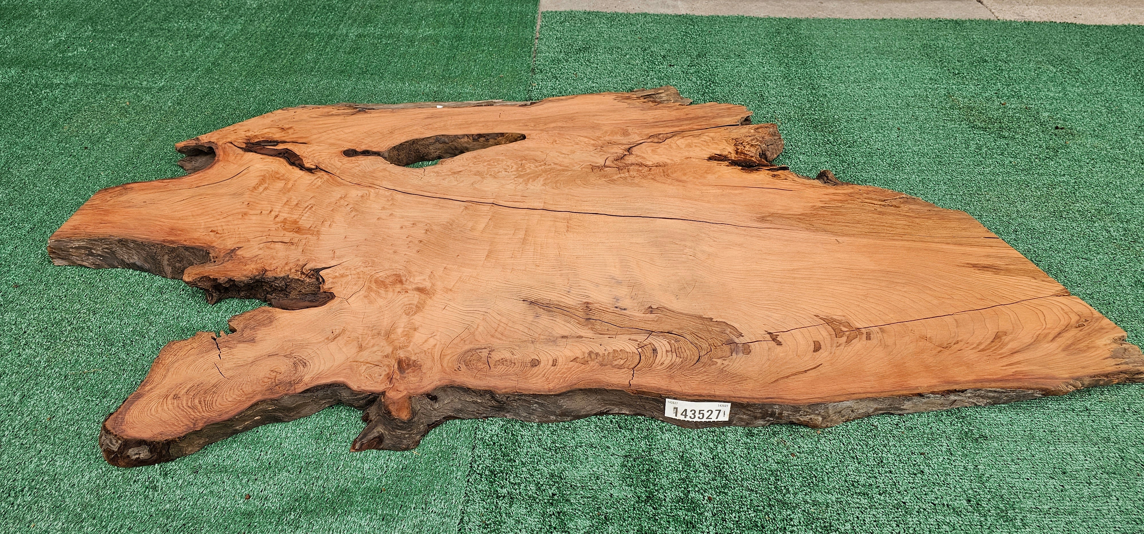 Redwood Burl #143527