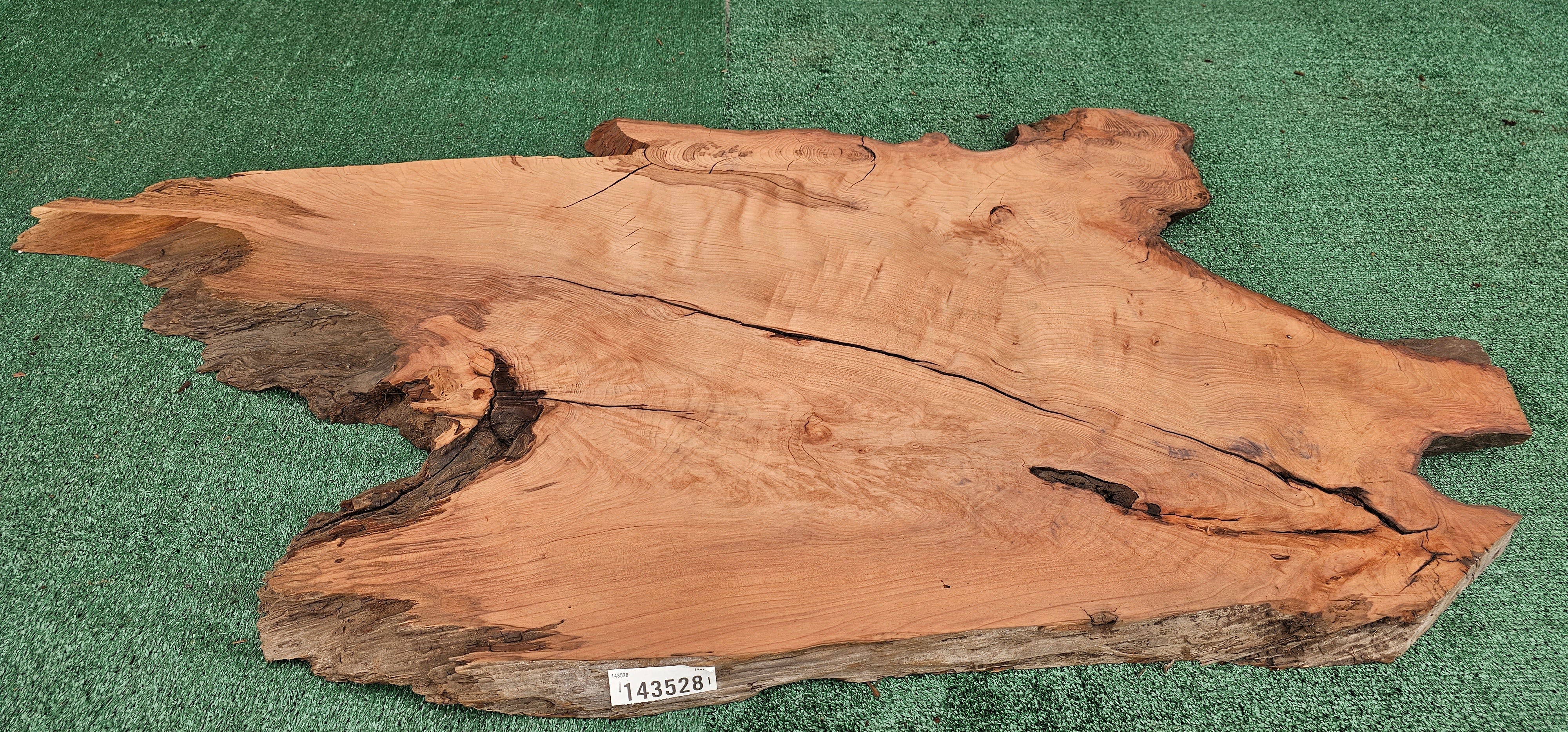 Redwood Burl #143528
