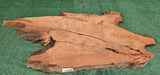 Redwood Burl #143528