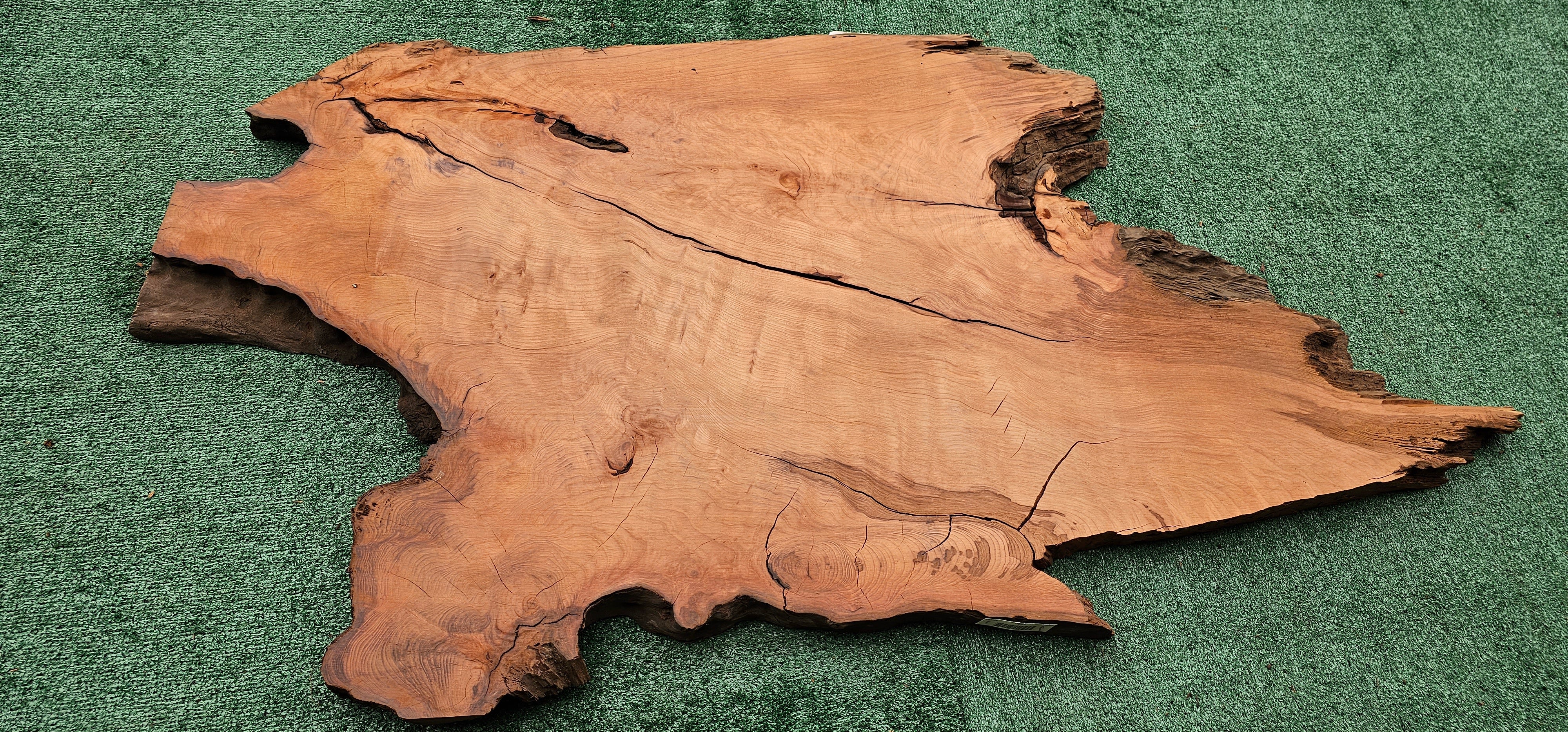 Redwood Burl #143528