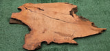 Redwood Burl #143528