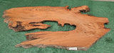 Redwood Burl #143529
