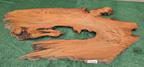 Redwood Burl #143529