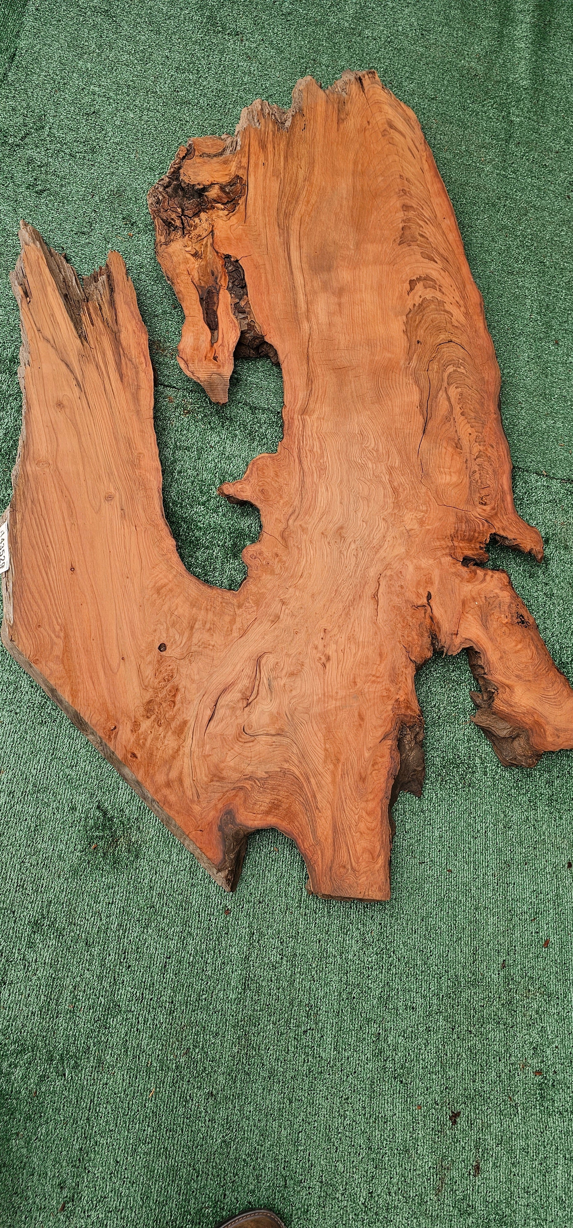 Redwood Burl #143529