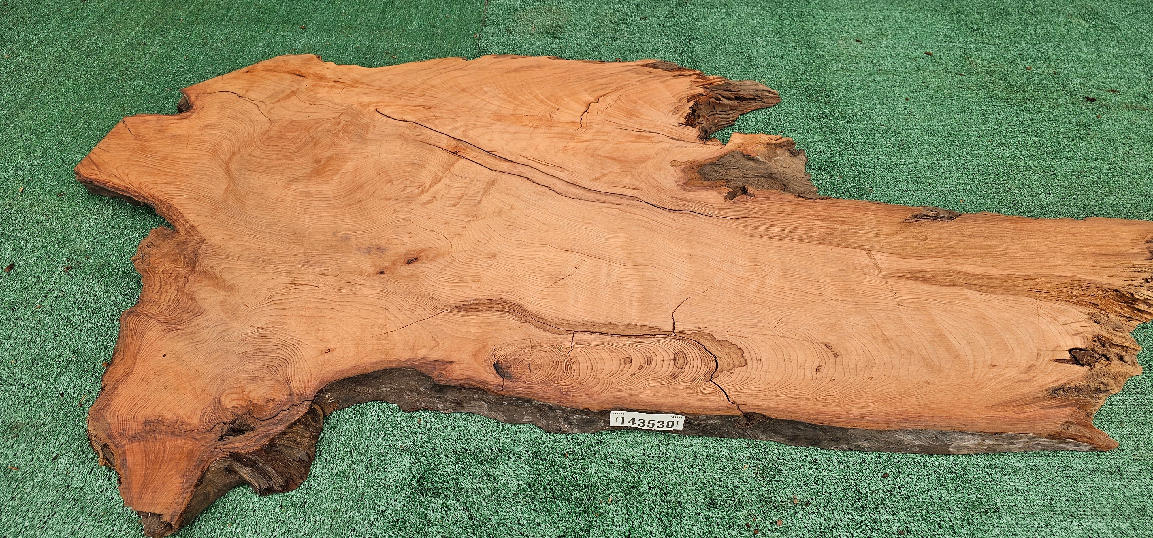 Redwood Burl #143530