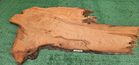 Redwood Burl #143530