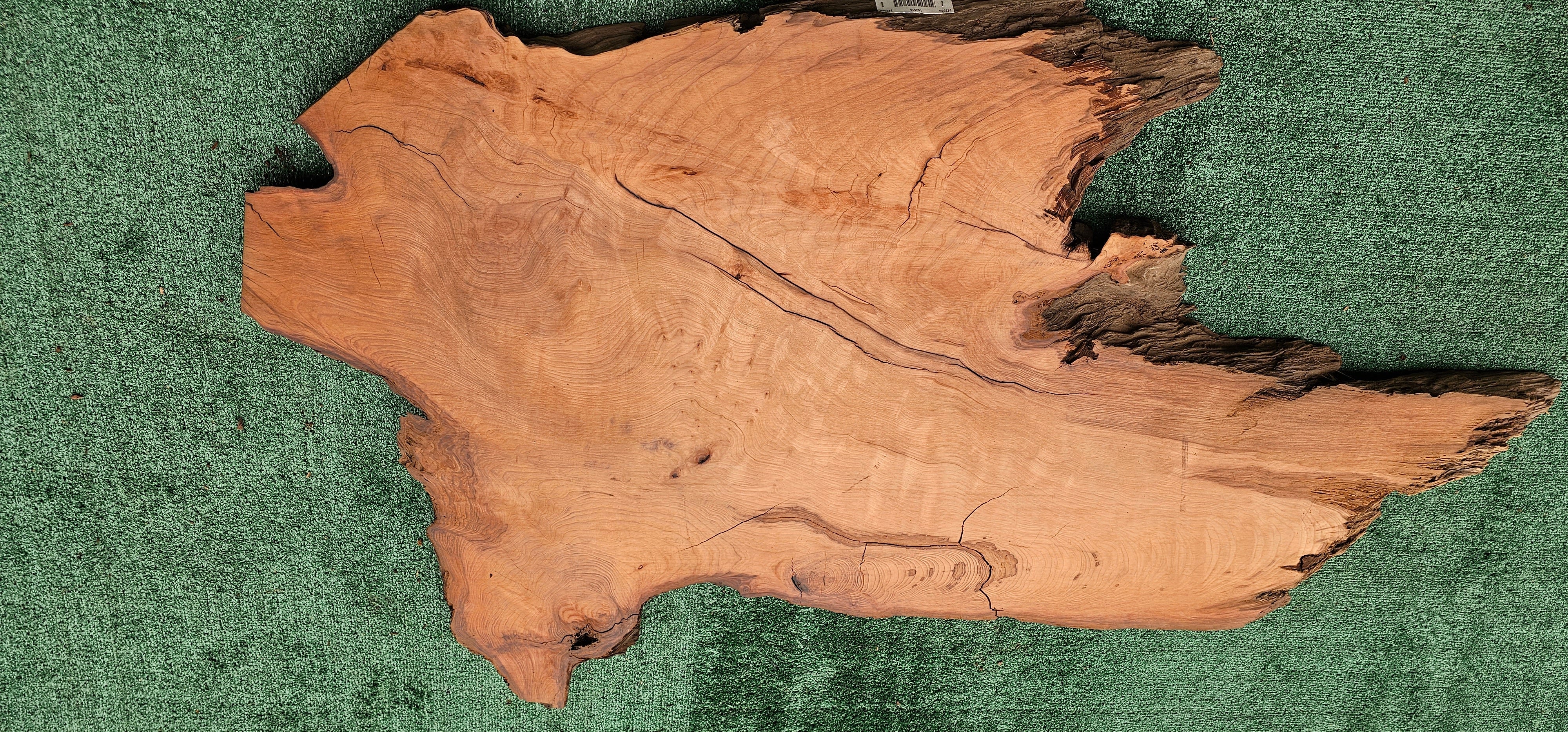 Redwood Burl #143530