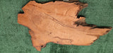 Redwood Burl #143530