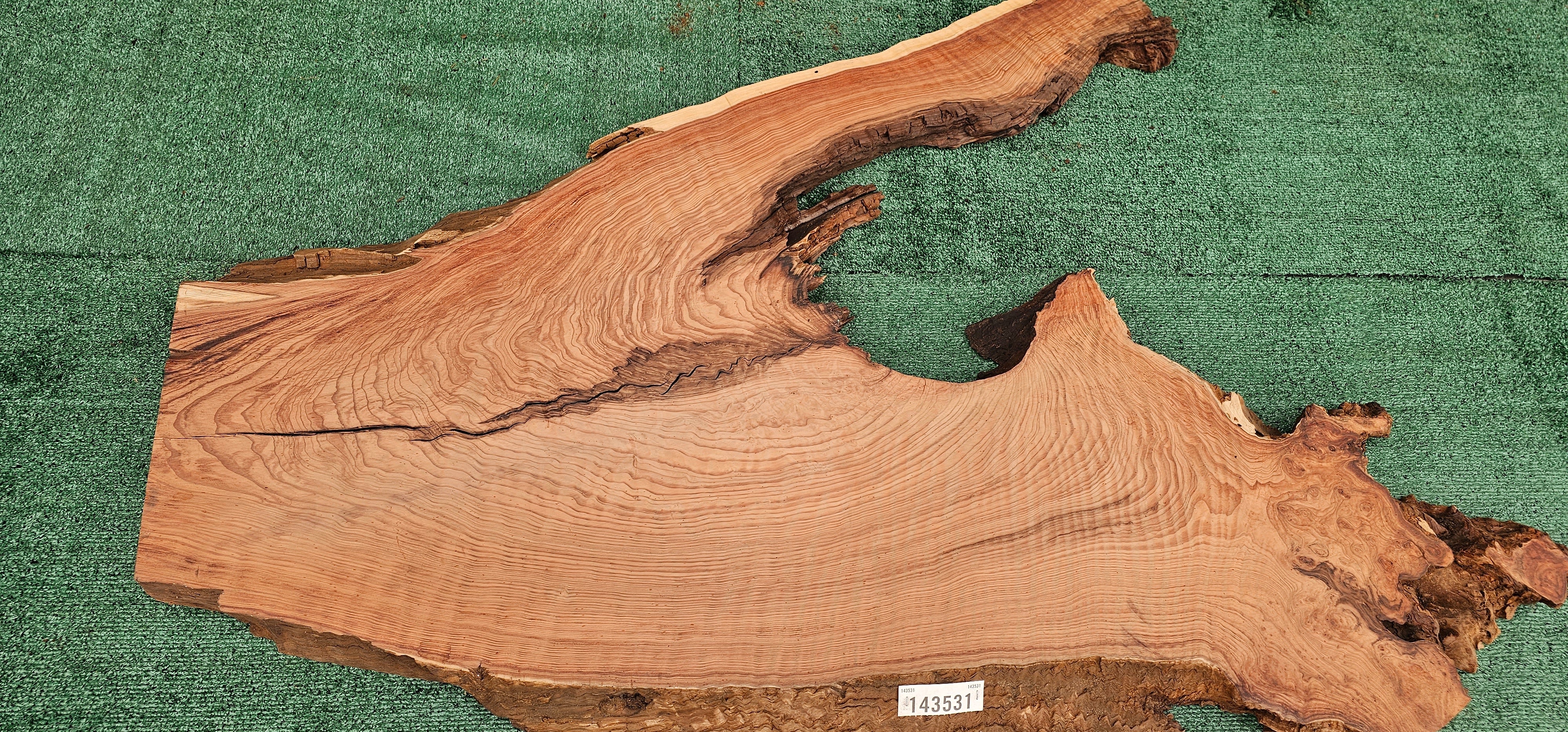 Redwood Burl #143531