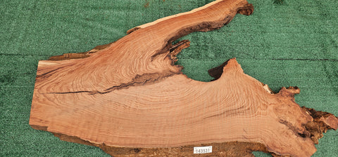 Redwood Burl #143520