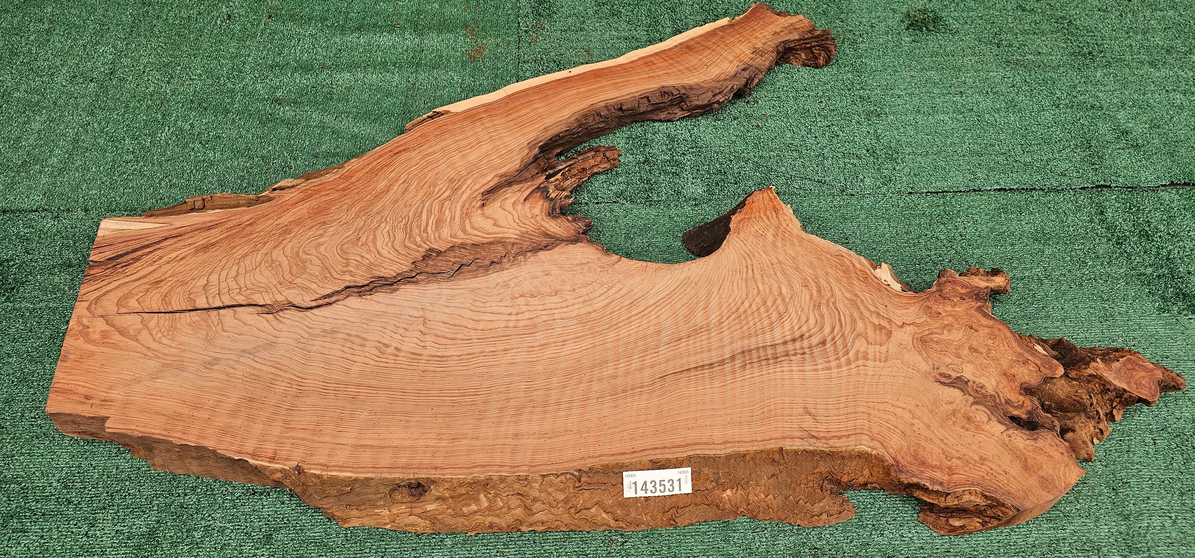 Redwood Burl #143531