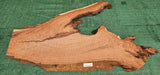 Redwood Burl #143531