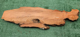 Redwood Burl  #143533