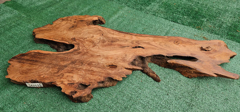 Redwood Burl #143535