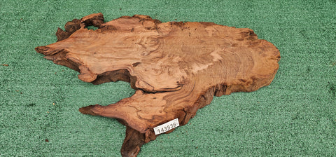 Redwood Burl # 143536