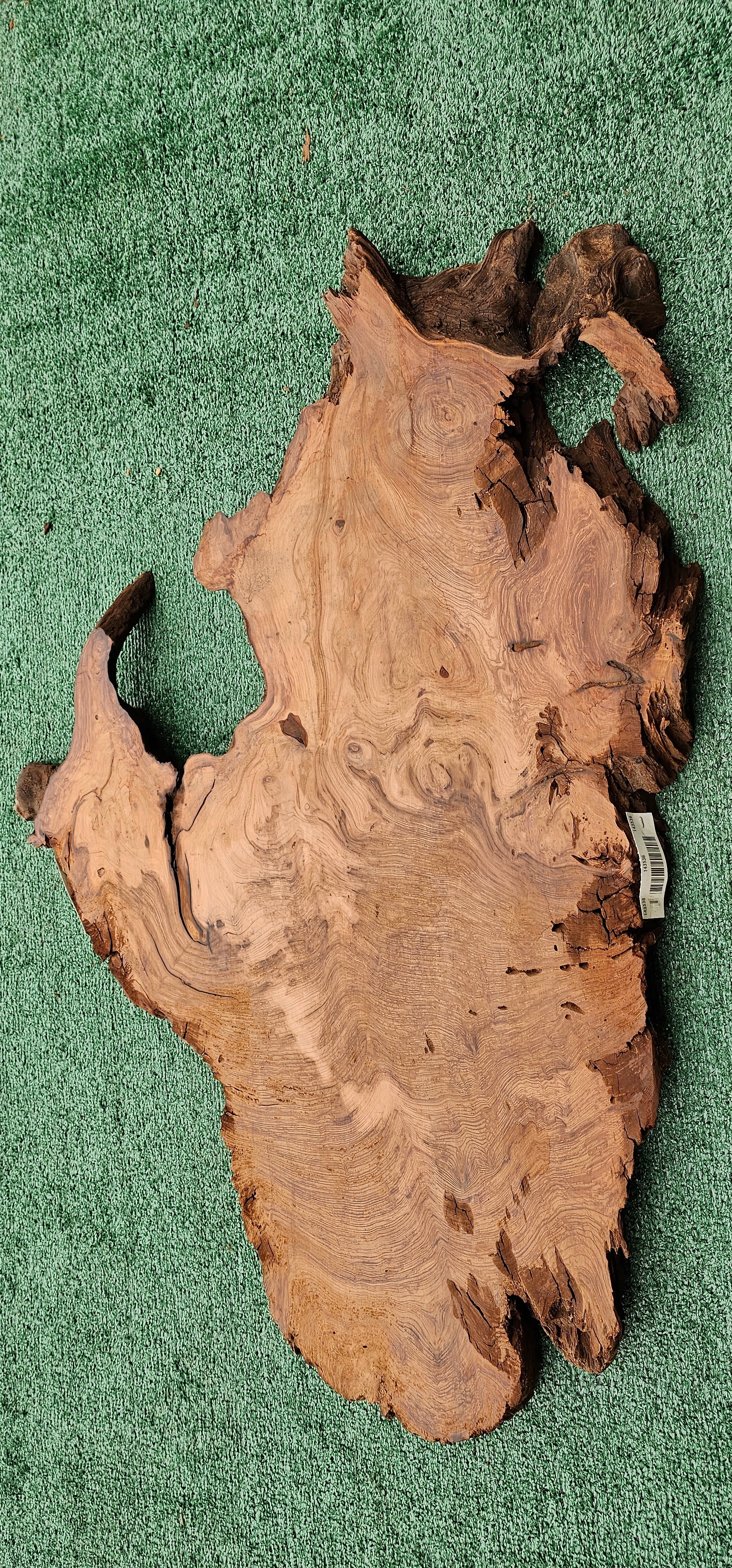 Redwood Burl # 143536