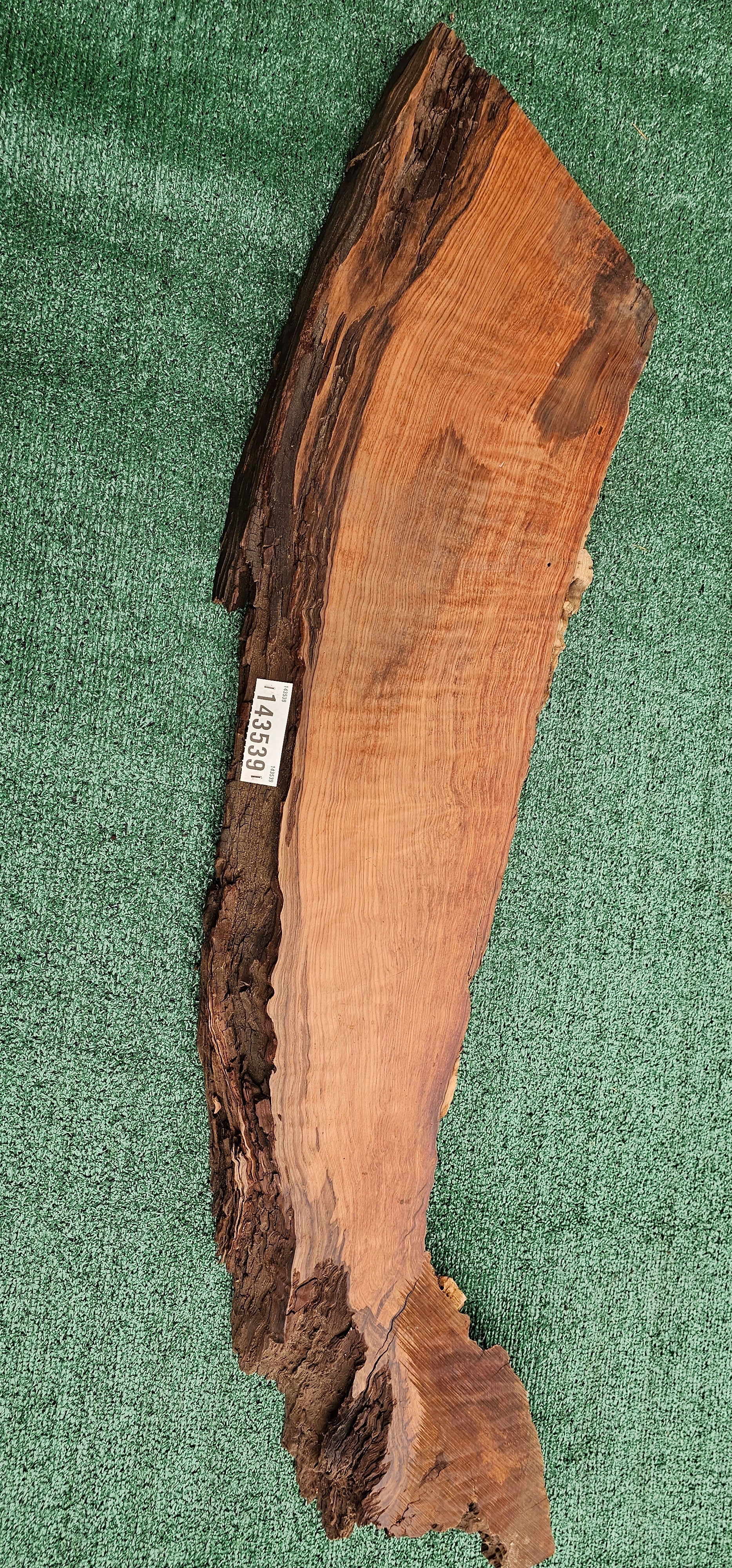 Redwood Burl #143539