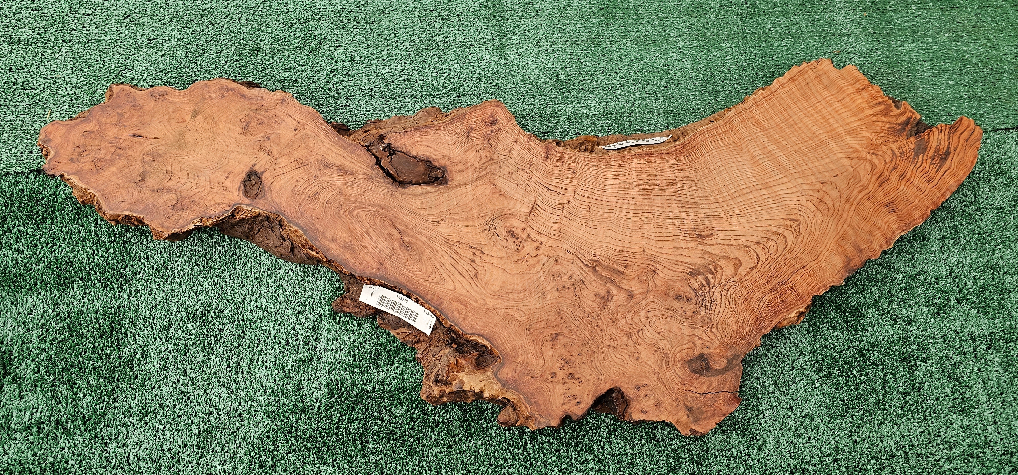 Redwood Burl #143540