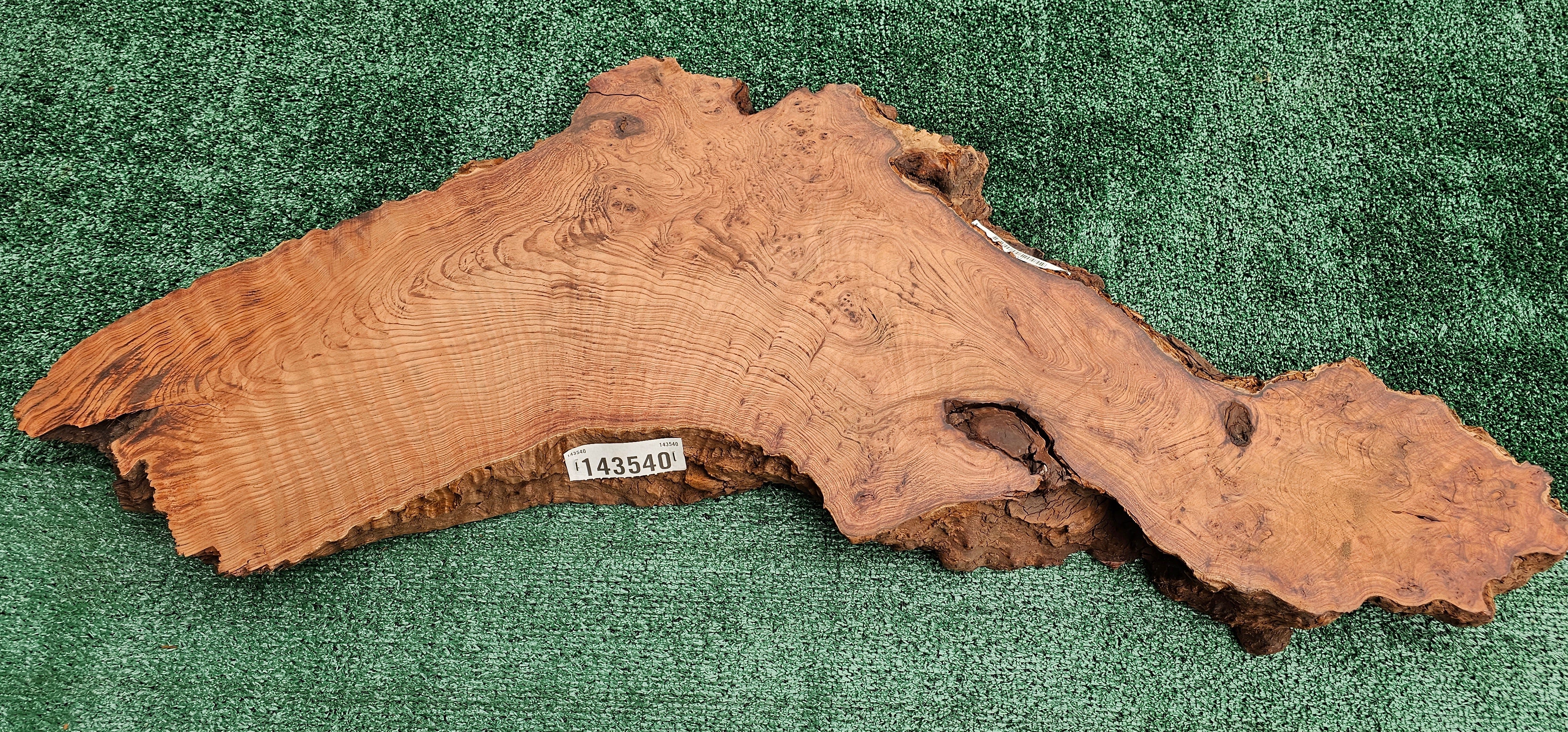 Redwood Burl #143540