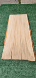Sycamore #143545