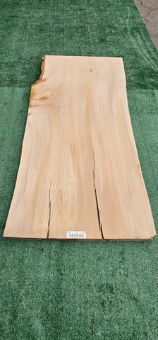 Sycamore #143546