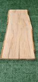 Sycamore #143546